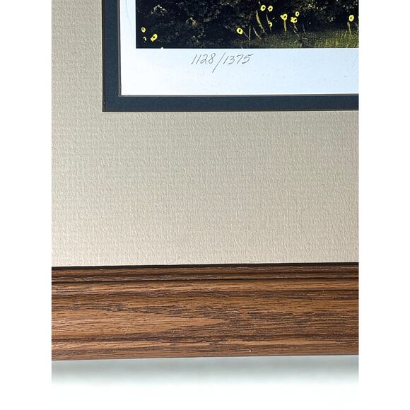 Wooster Scott “Dog Days of Summer” Signed Limited Edition 1128/1375 Framed Print - Picture 3 of 9